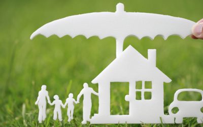 Reading your insurance hail claim